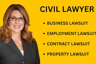 prepare legal document, lawsuit complaint, motions