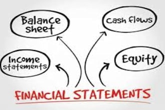 provide financial analysis, ratio analysis, accounting