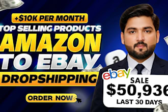 do expert amazon to ebay dropshipping service