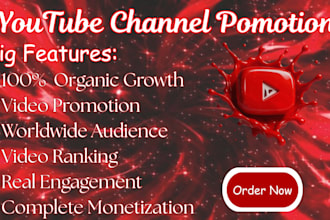 do youtube video promotion for organic growth