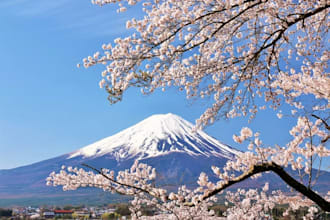 create a perfect japan travel itinerary as a local expert
