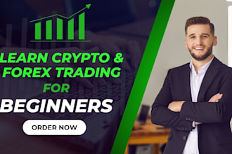 mentor beginners in crypto and forex trading step by step