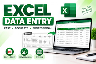 do professional excel data entry, typing and conversion