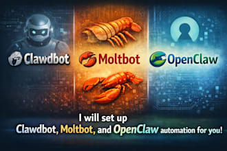 set up openclaw automation for you