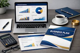 write an investor ready business plan, financial plan, feasibility study