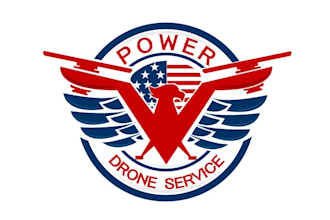 design a professional drone logo for your business