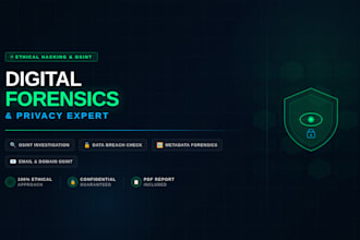 perform a professional osint investigation and digital footprint analysis