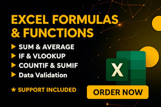 do excel formulas, pivot tables and basic data analysis accurately and fast