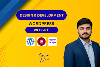 build a professional ecommerce website with payment gateway