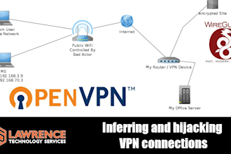 perform website security assessments, VPN server security testing