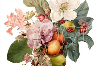 create digital botanical watercolor clipart of flowers,