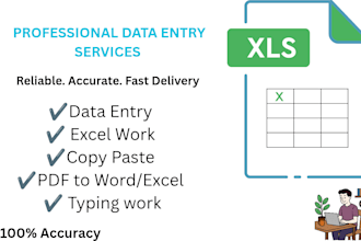 do professional data entry and excel data typing