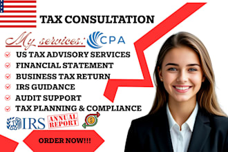 be CPA lawyer, tax consultant, financial advisor accountant, business consultant