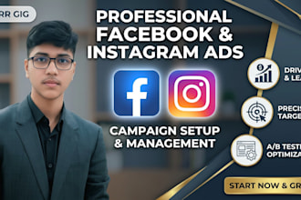 run facebook ads campaign, marketing and instagram promotion