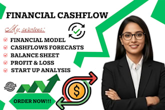 cpa provide investor ready financial models,  financial statements and cash flow