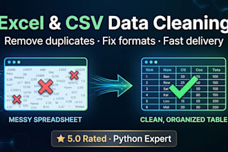 clean, fix, deduplicate and organize your messy excel or CSV data professionally