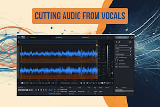 professionally separate vocals and music from any song