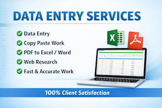 do professional data entry, PDF to excel and web research