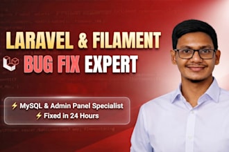 do laravel bug fix, custom development, and filament issues