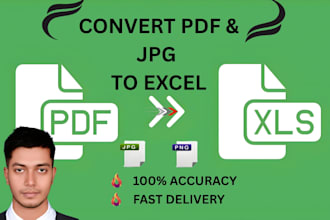 convert PDF to excel, jpg to excel and do data entry