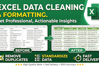 do professional excel data cleaning, formatting,data merging