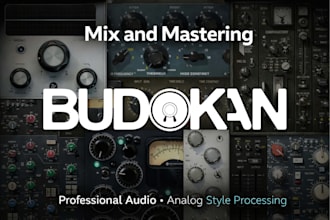 professionally mix and master your song