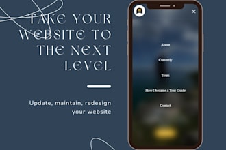 maintain and update your wordpress website