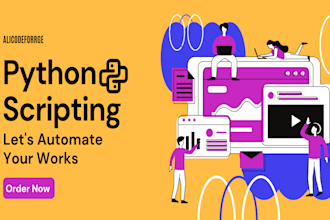 create custom python program