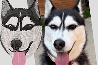 do professional pets embroidery digitizing within 1 hour