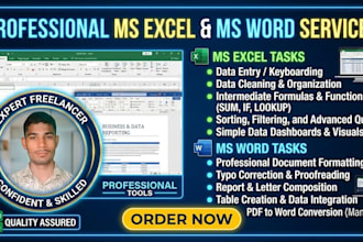 do professional ms excel and ms word data entry manually