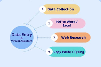 personal virtual assistant for data entry,data collection