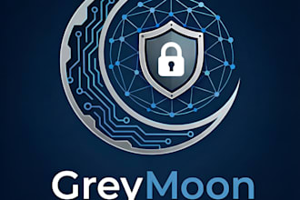 perform a professional web or external penetration test
