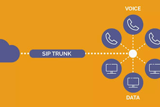 provide did number sip trunk setup, voip phone system and pbx configuration