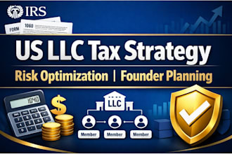 provide US llc tax planning and risk optimization strategies