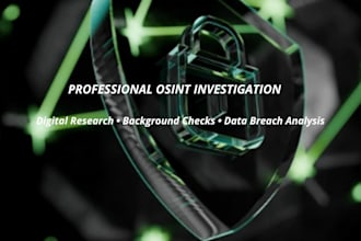 perform professional osint investigation and background check