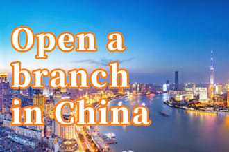 help your brand enter the chinese market