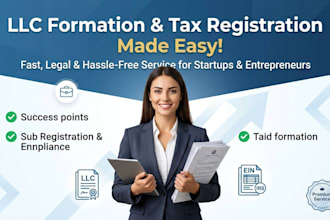 prepare and file US tax returns for individual llc and corporate tax filling
