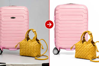do luggage bag image editing and ladies bag retouching