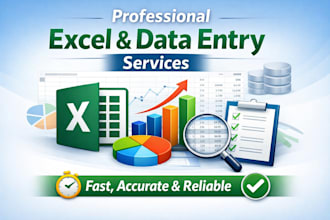 do excel data entry and data formatting