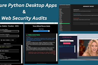 build secure python apps and perform web audits