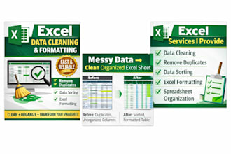 clean, sort, and organize your excel data professionally