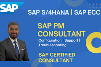 provide sap pm and eam consulting and support