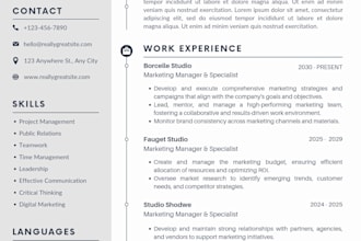 professionally format and design your resume or CV