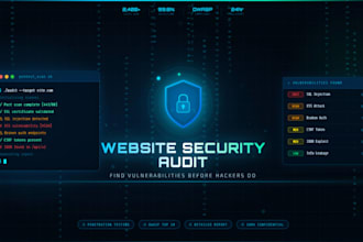 find security vulnerabilities in your website or API