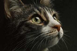 do cat portrait illustration