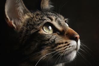 paint portrait illustrations of your pet