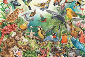 draw amazing any animal, insects, birds, reptiles, nature in watercolors