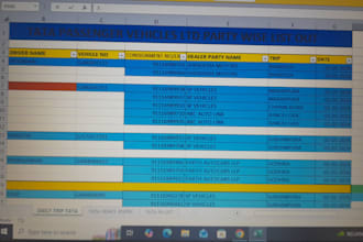 data cleaning expert excel