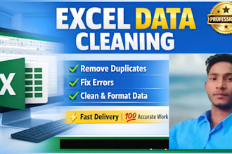 do excel data cleaning, formatting, and data cleanup