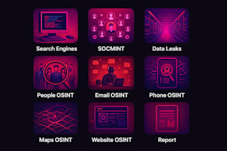 perform professional osint investigation and background checks